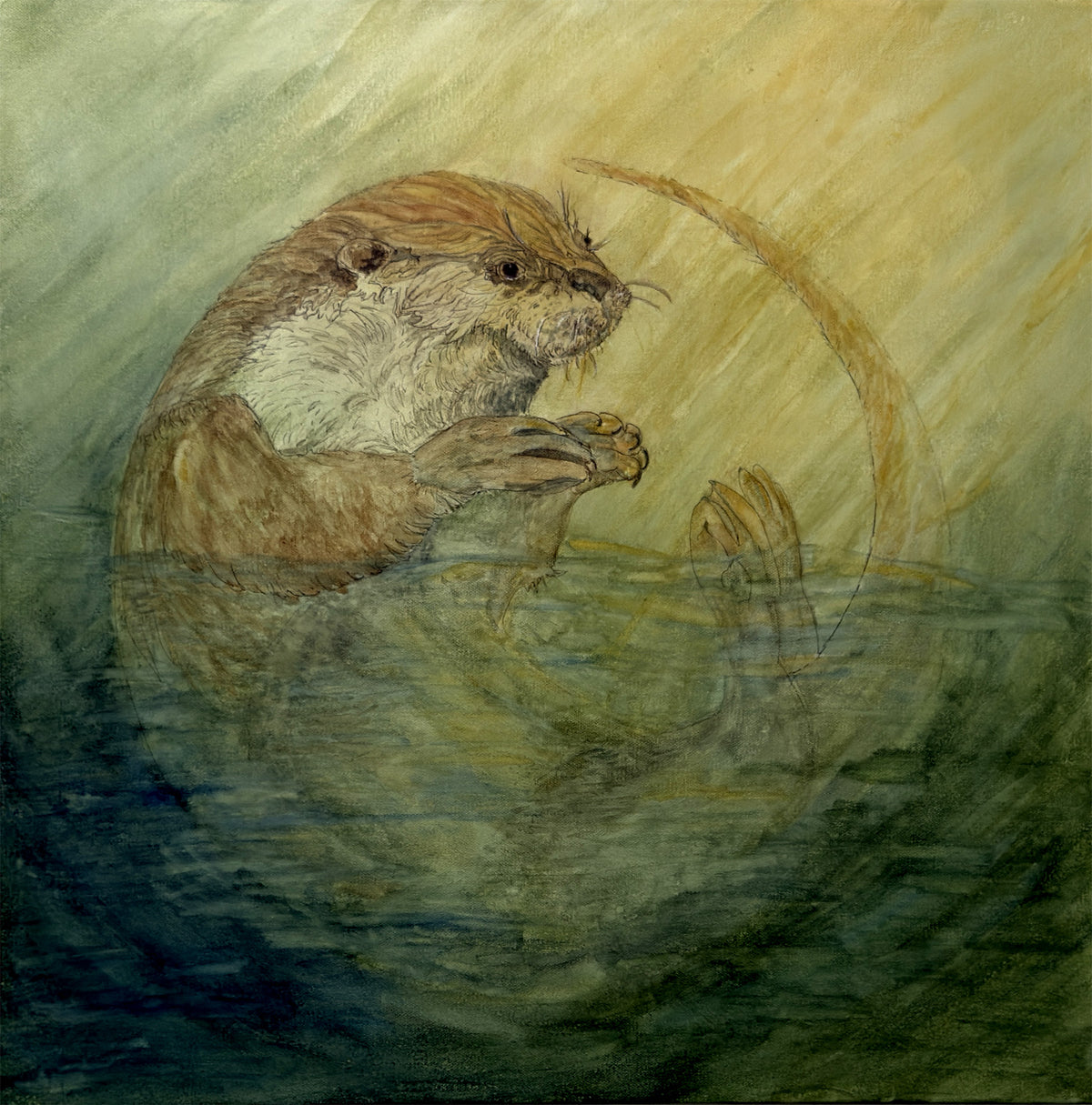 Morning Otter - Fine Art Print