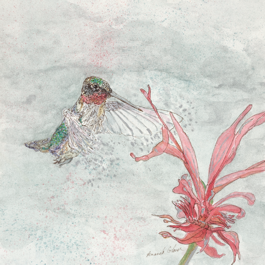 Hummingbird and Bee Balm - Original Painting