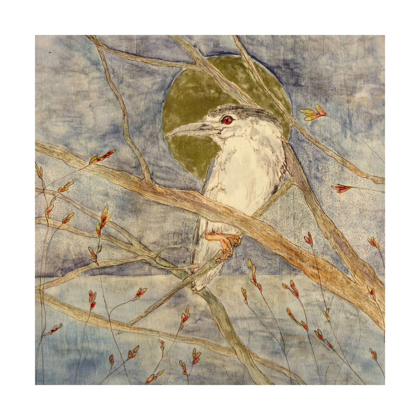Night Heron (Limited Edition)