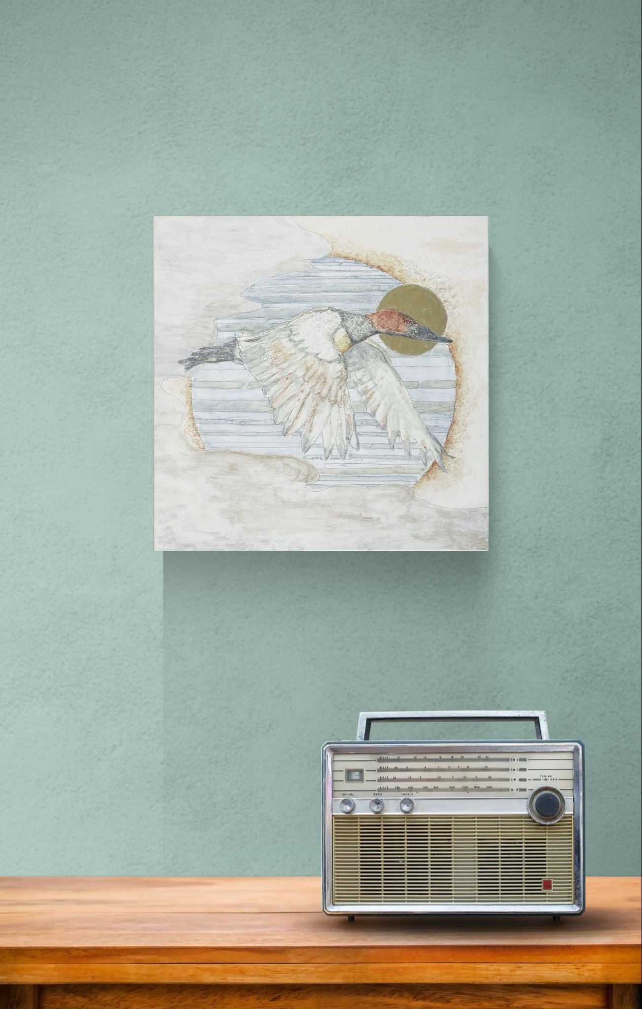 Canvasback in Flight