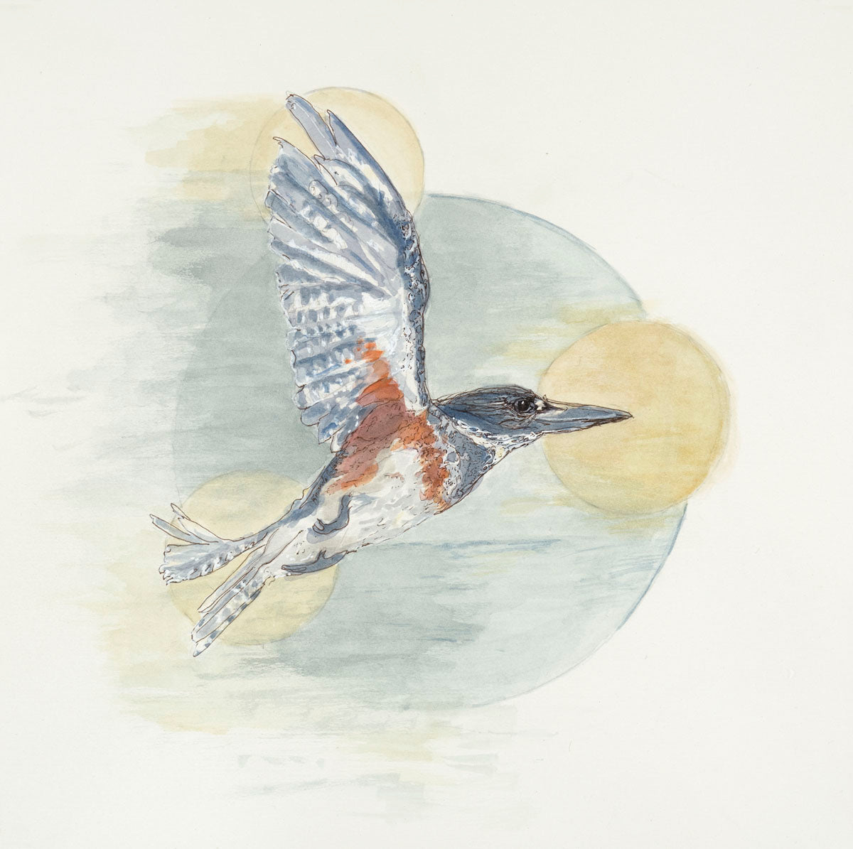 Kingfisher in Flight - Original Painting