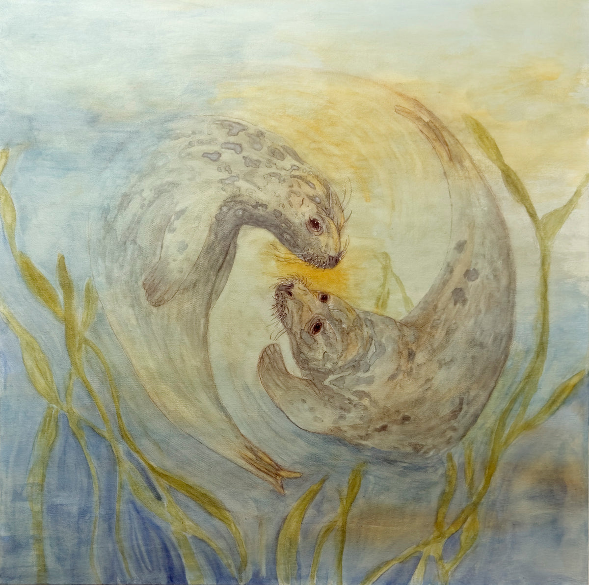 In Each Other's Orbit -Harbor Seal Fine Art Print