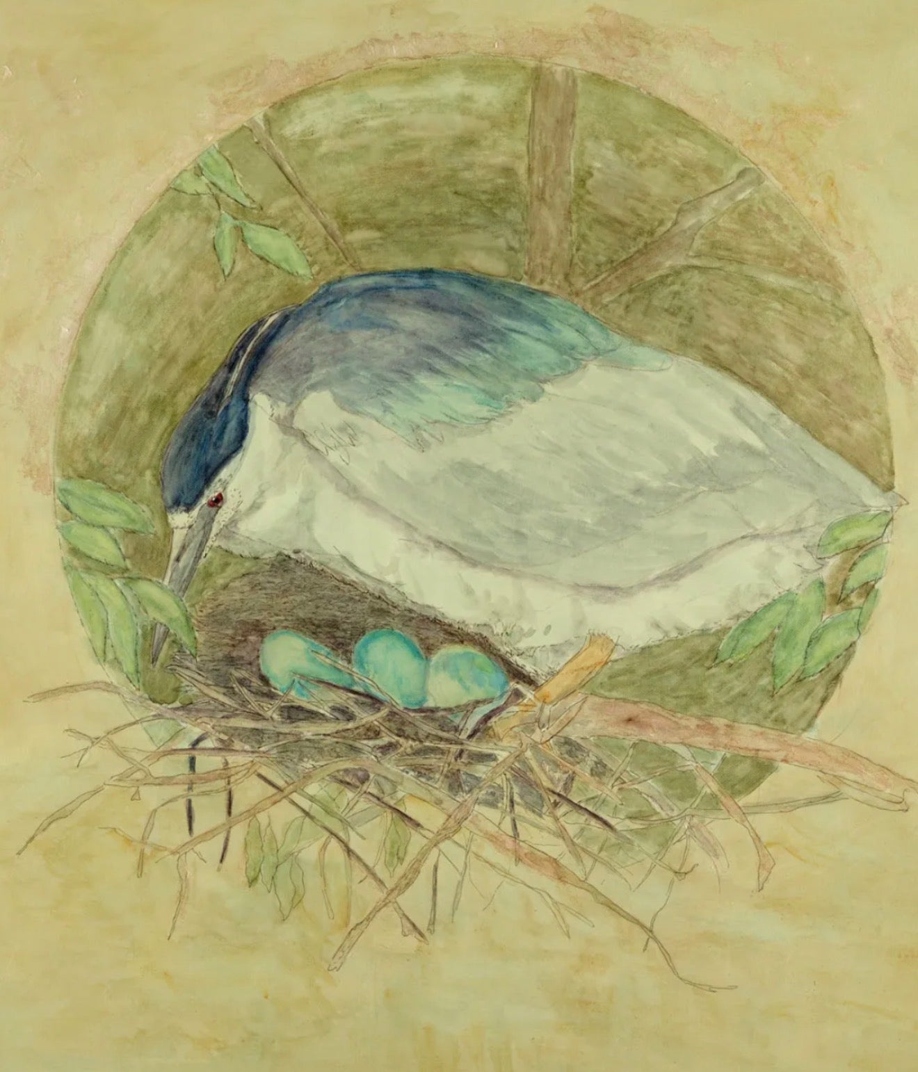 Sanctuary — Black-crowned Night-Heron Limited Edition Print